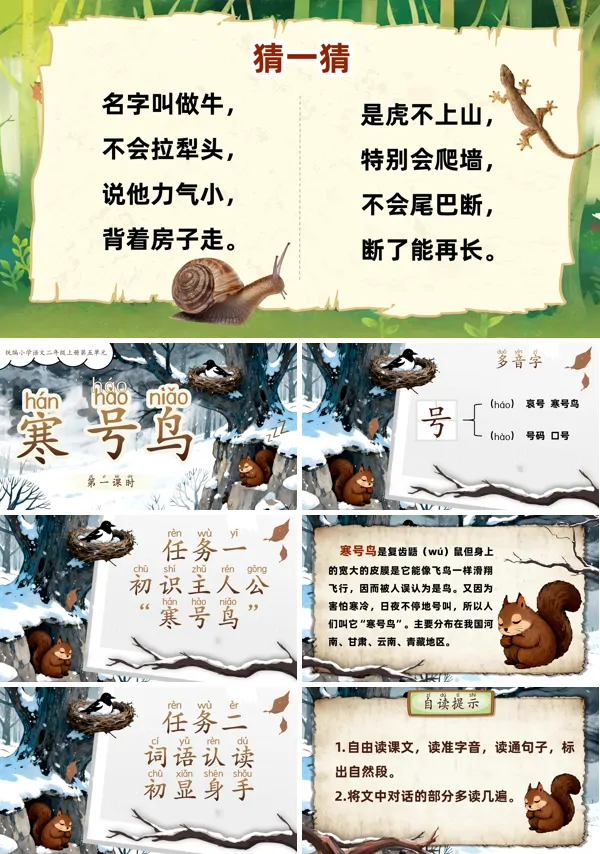 统编小学语文二年级上册寒号鸟PPT课件含教案