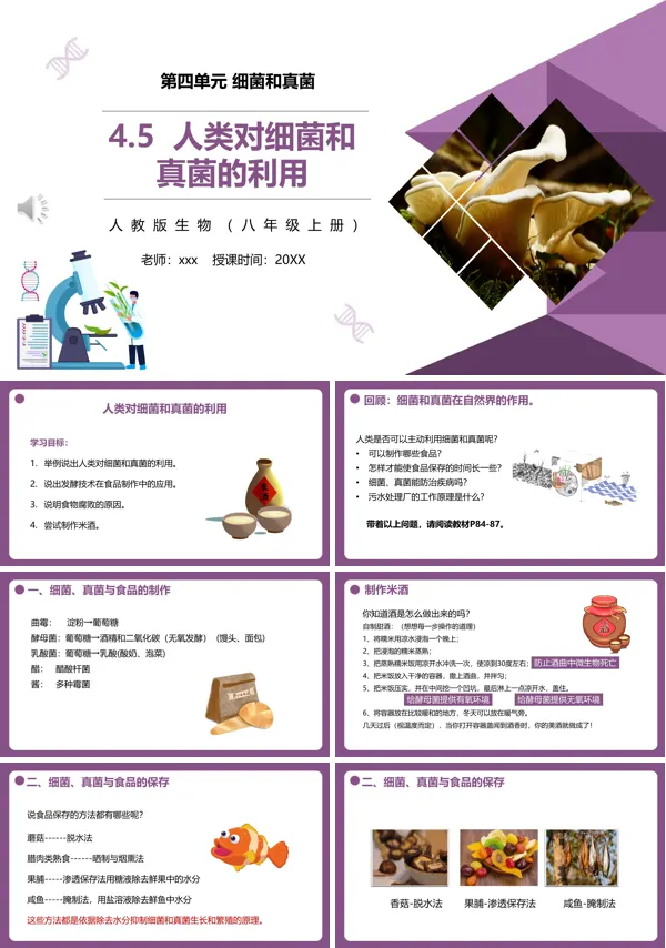 人类对细菌和真菌的利用课件PPT模板