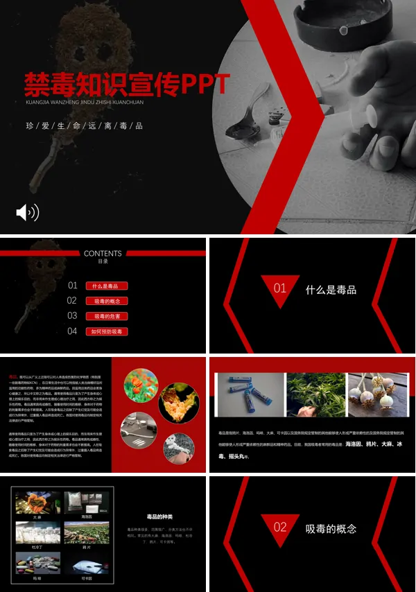 禁毒知识宣传推广PPT