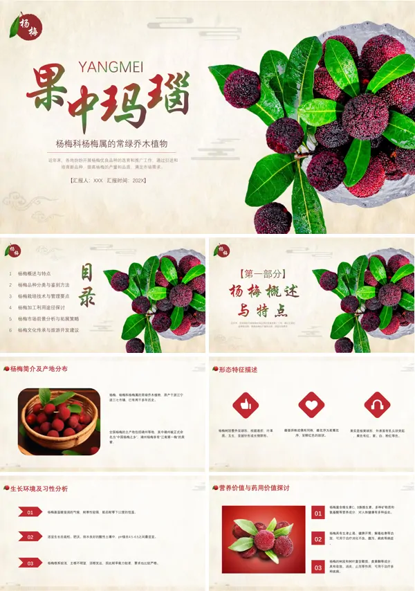 杨梅PPT课件 