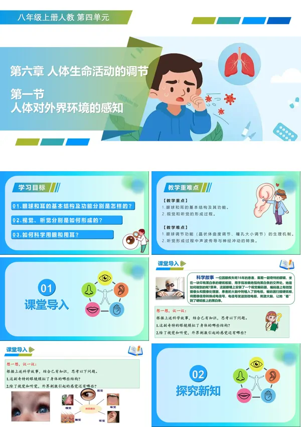八年级生物上册 人教 4.6.1 人体对外界环境的感知（教学课件）ppt课件含教案