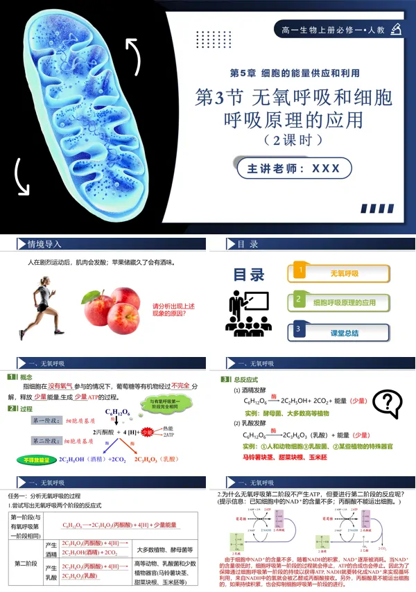 高一人教生物上册必修一5.3.2无氧呼吸和细胞呼吸原理的应用PPT课件含教案