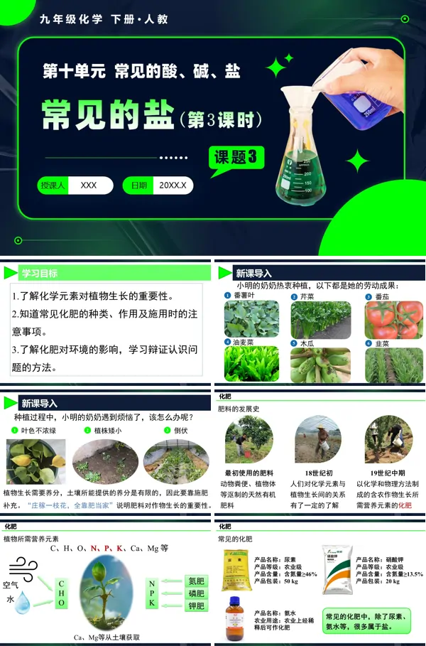 人教九年级化学下册课题3 常见的盐（第3课时）PPT课件含教案