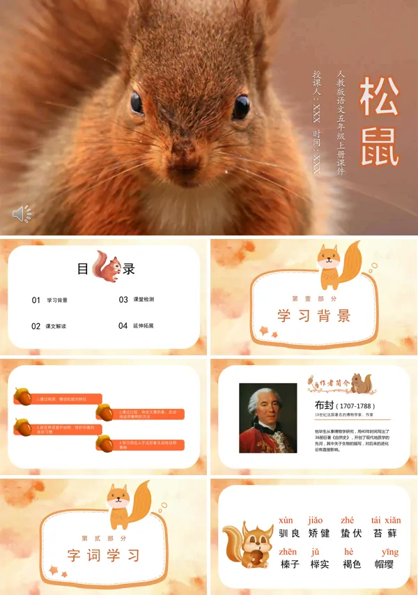 五年级上册松鼠ppt课件