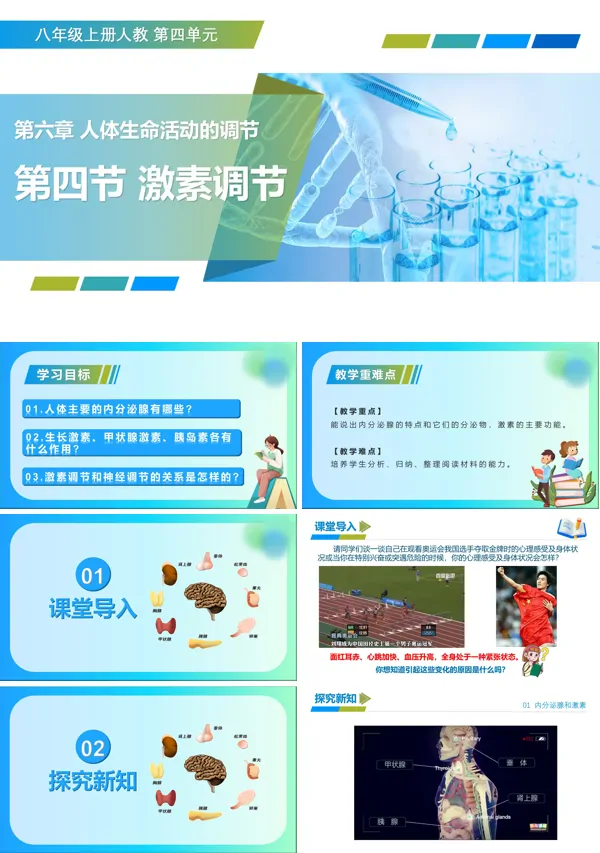 八年级生物上册 人教 4.6.4 激素调节（教学课件）ppt课件含教案