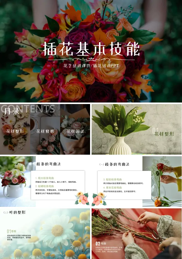 插花的基本技巧ppt