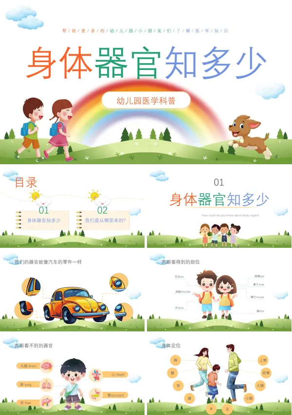 身体器官知多少幼儿园医学科普知识课件PPT