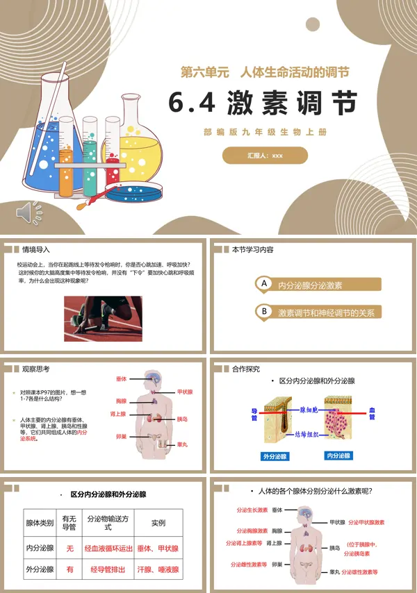 激素调节课件PPT模板