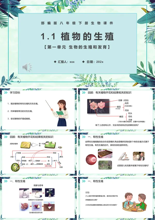 植物的生殖课件PPT模板
