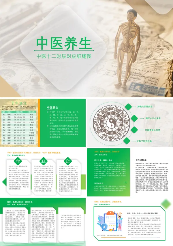 中医传统文化中医养生十二时辰对应脏腑图解PPT