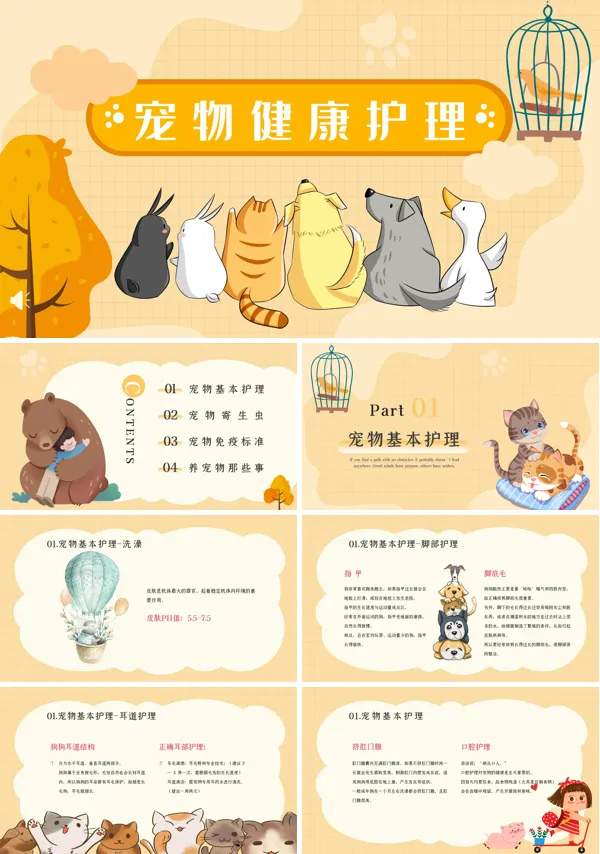 宠物健康护理PPT课件模板