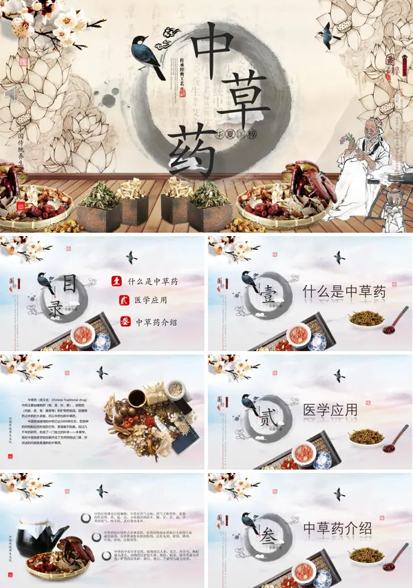 中医文化ppt模板免费