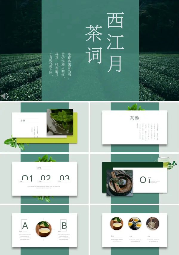 品茶人生感悟生命之茶文化
