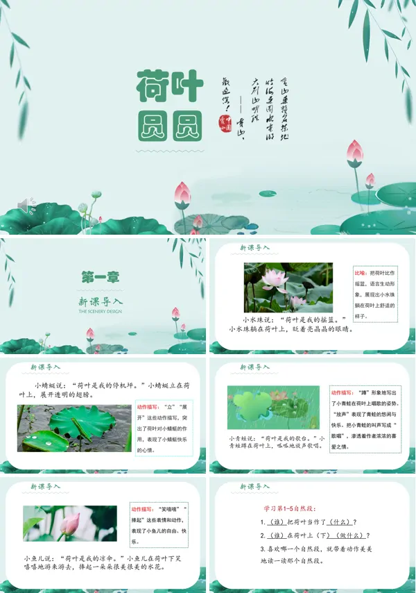 荷叶圆圆PPT课件