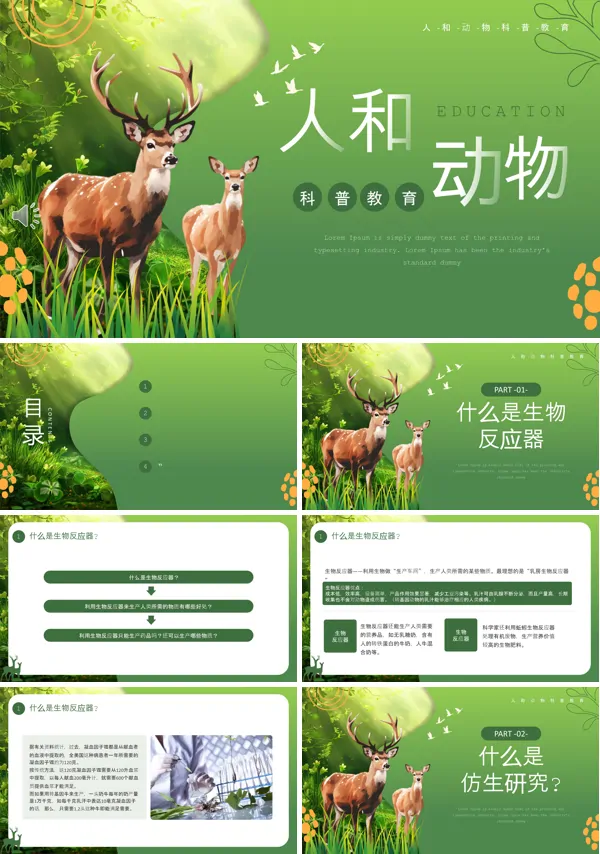 人和动物科普课件PPT模板