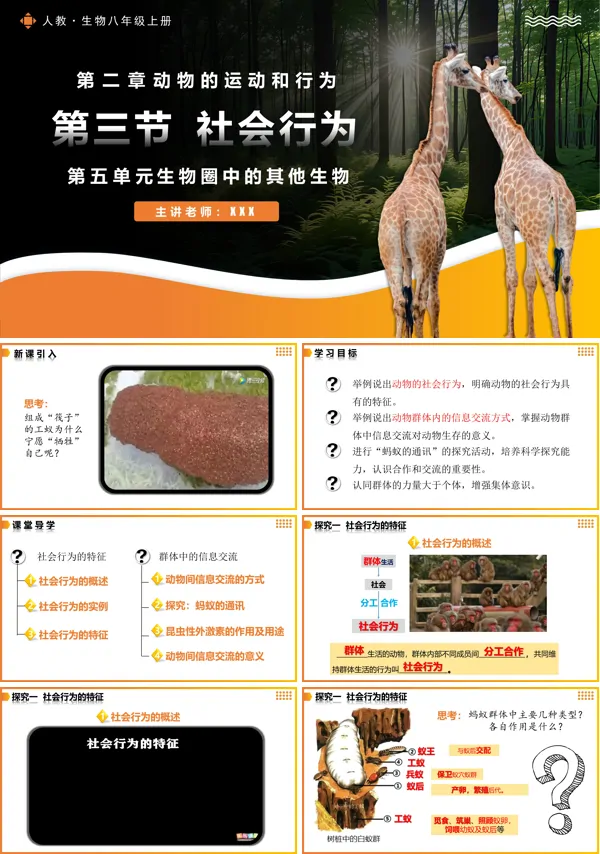 人教八年级生物上册5.2.3社会行为PPT课件含教案