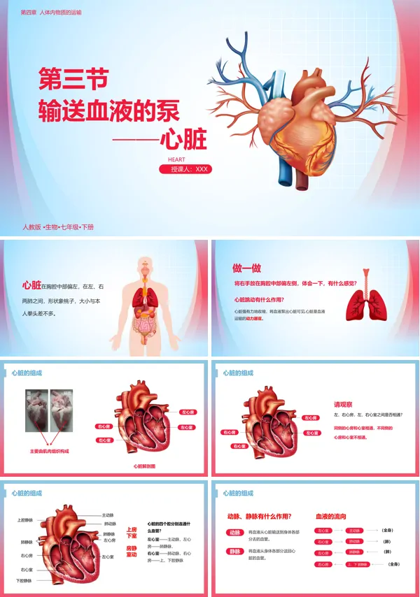 《输送血液的泵--心脏》PPT课件