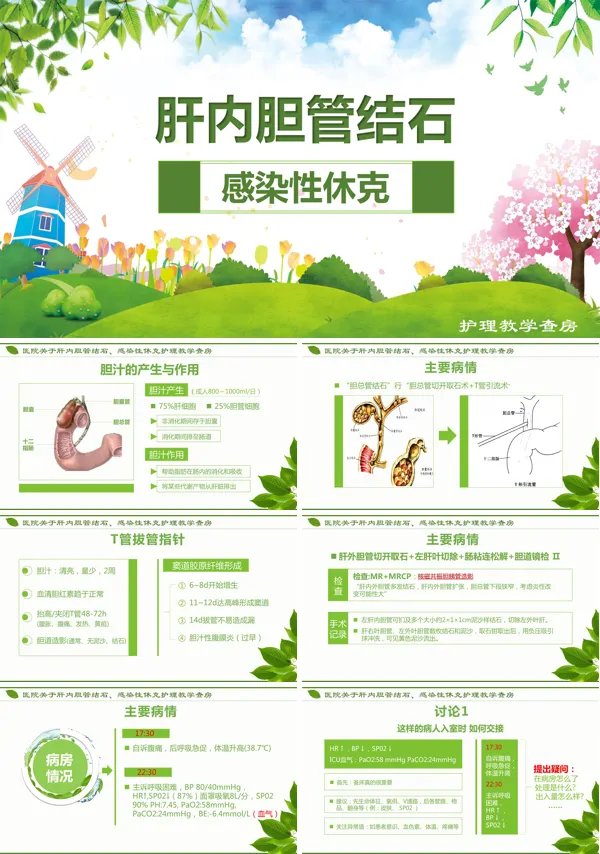 肝内外胆管结石病人的护理ppt课件