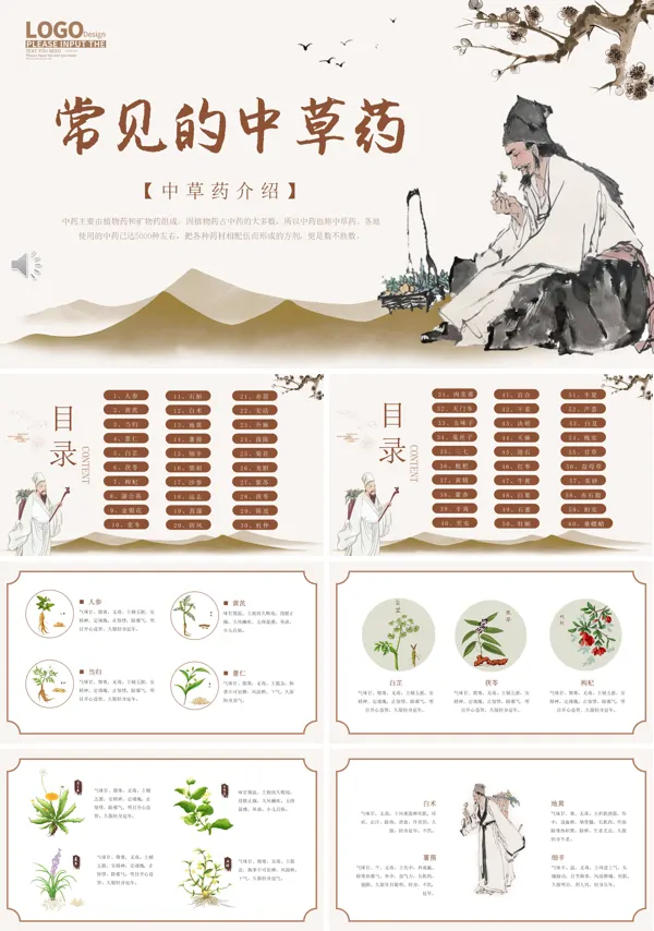 中医常见中草药知识培训PPT模板