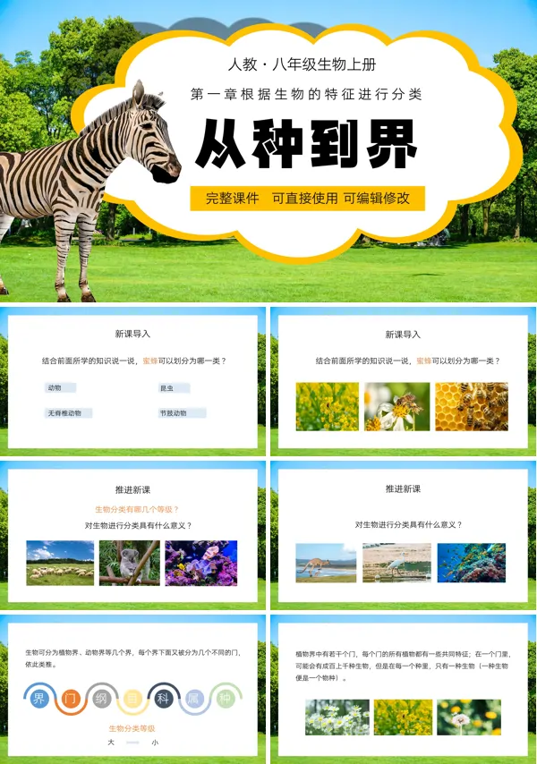 根据生物的特征进行分类从种到界PPT课件