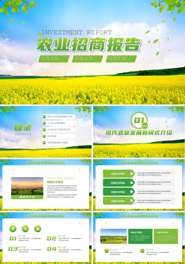 农业招商引资项目简介ppt