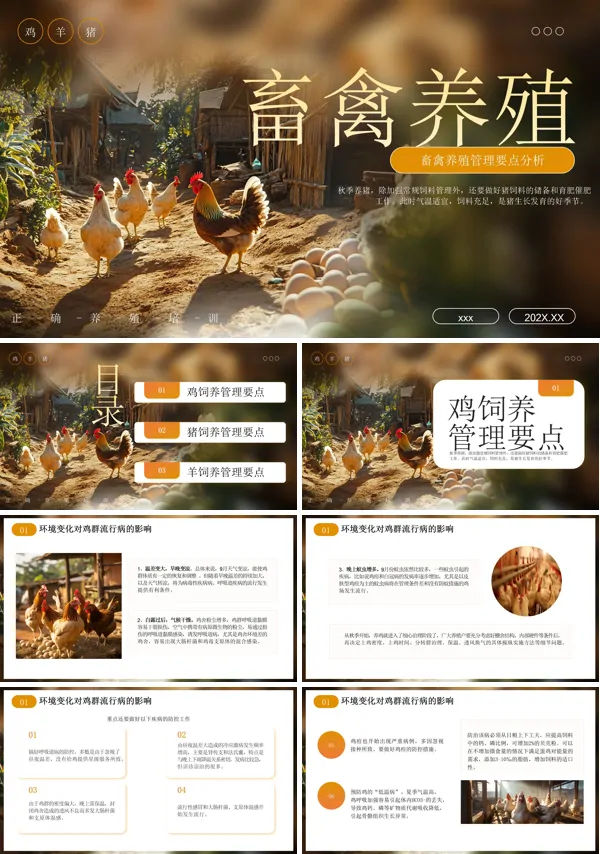 畜禽养殖培训课件PPT模板含讲稿