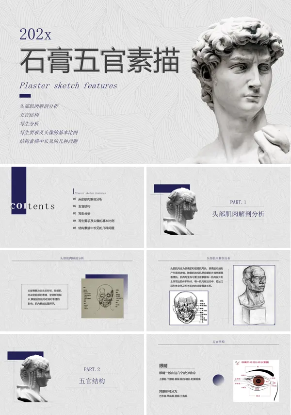 石膏五官素描课件PPT