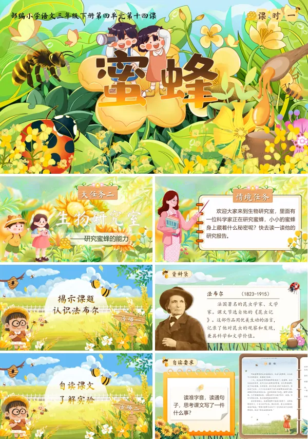 部编小学语文三年级下册蜜蜂PPT课件含教案
