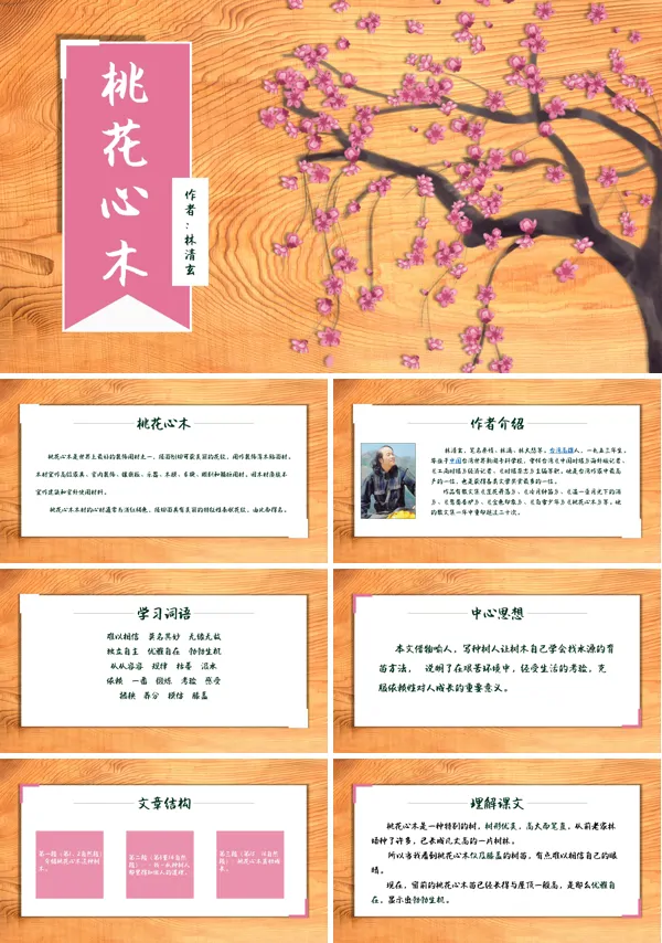 人教版六年级《桃花心木》课件PPT