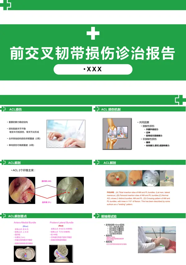 前交叉韧带损伤诊治护理查房PPT课件模板