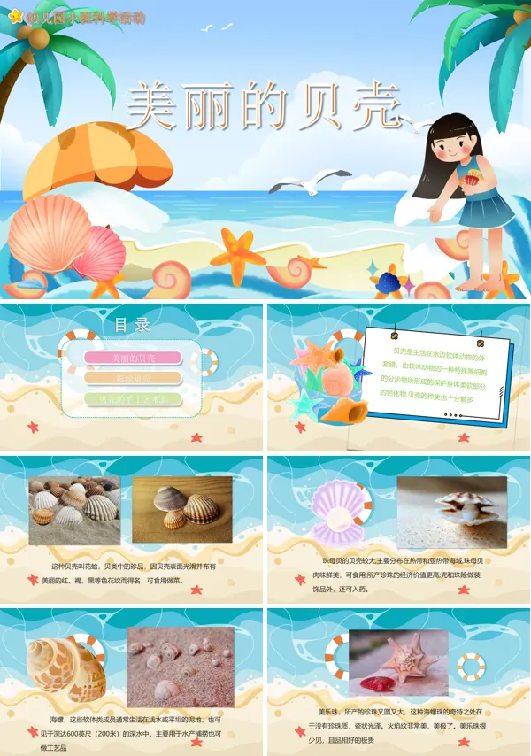 《美丽的贝壳》幼儿园教学科学教育PPT课件