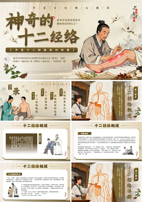 十二经络介绍PPT模板含讲稿