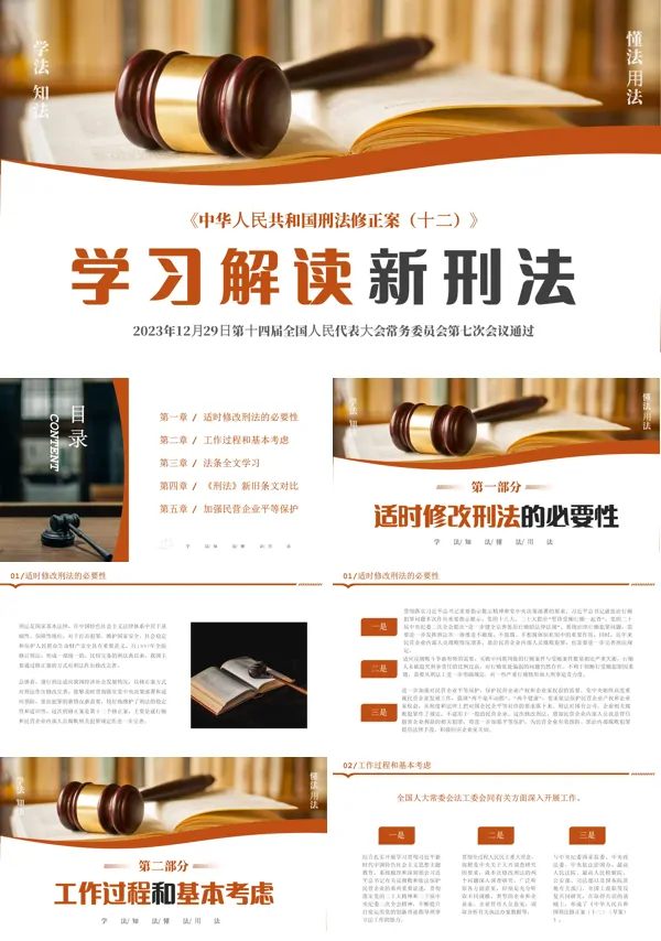 新《刑法修正案(十二)》全文解读PPT