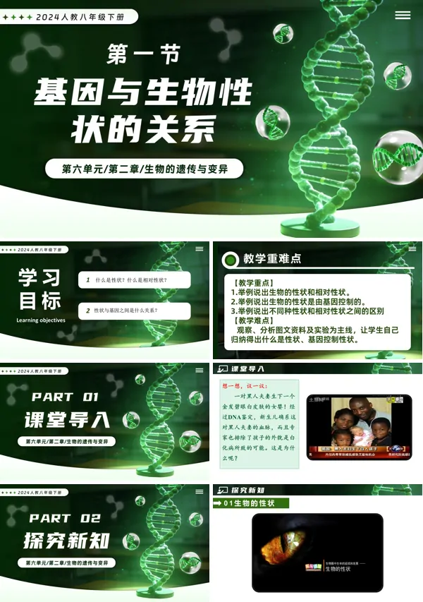 新教材人教八年级生物下册第2章6.2.1 基因与生物性状的关系PPT课件（含教案+导学案+提升讲义+分层作业）