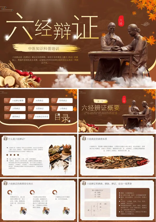 《中医六经辨证》PPT模板含讲稿