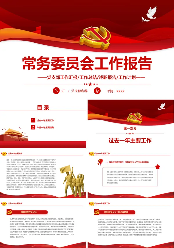 人大常委会工作报告发言ppt