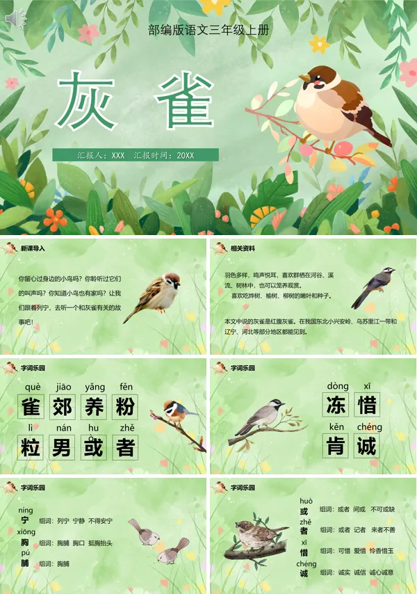 三年级上册语文《灰雀》PPT课件