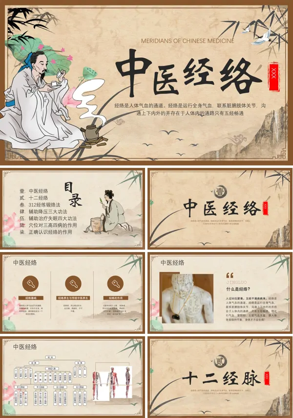 中医经络学基础知识PPT课件免费下载