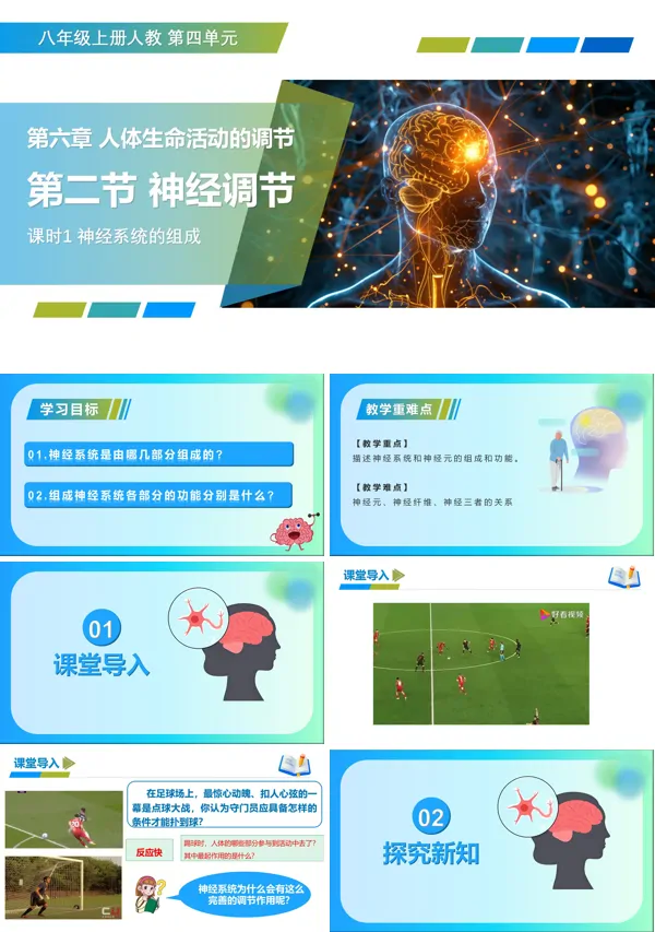 八年级生物上册 人教 4.6.2 神经调节 第1课时（教学课件） ppt课件含教案