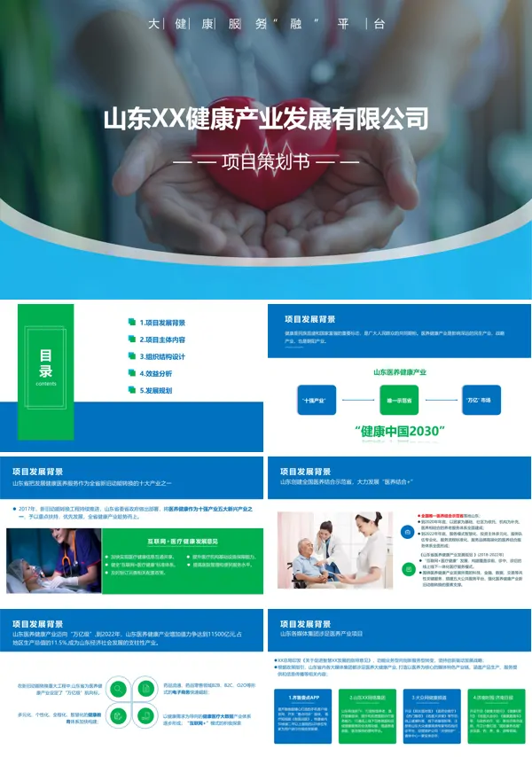 大健康产业项目策划书汇报PPT