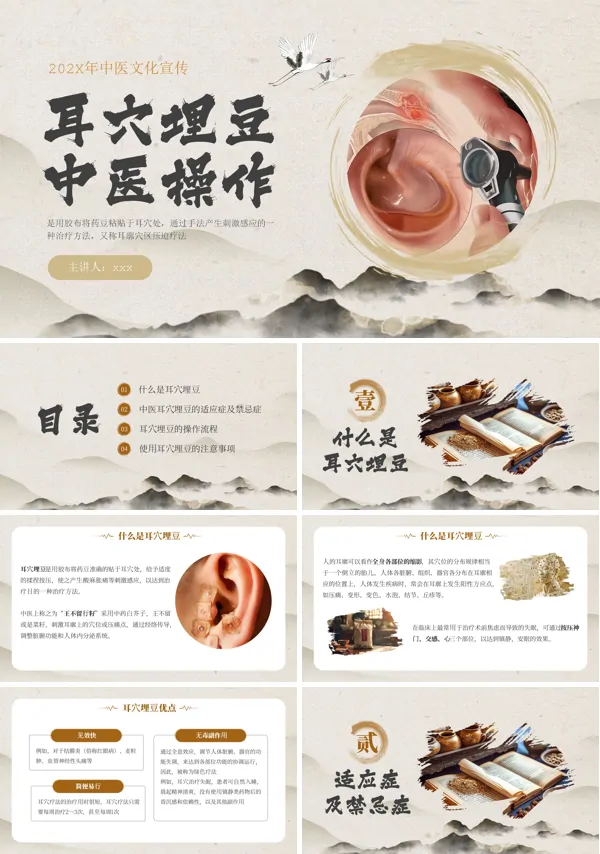 风耳穴埋豆中医知识课件PPT下载模板