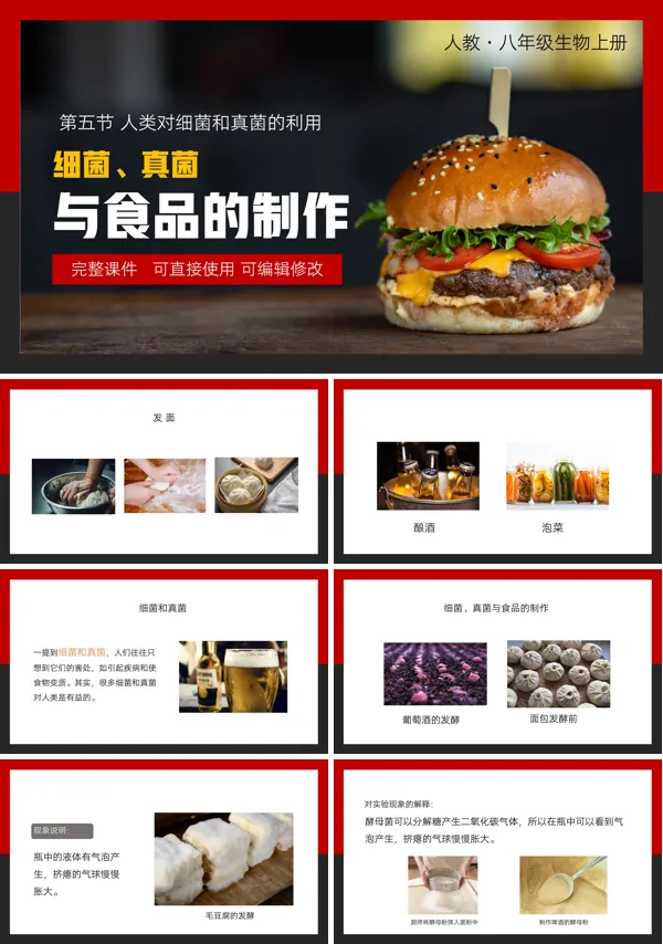 人类对细菌真菌的利用细菌真菌与食品的制作PPT课件模板