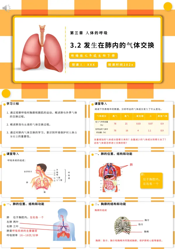 发生在肺内的气体交换课件PPT模板