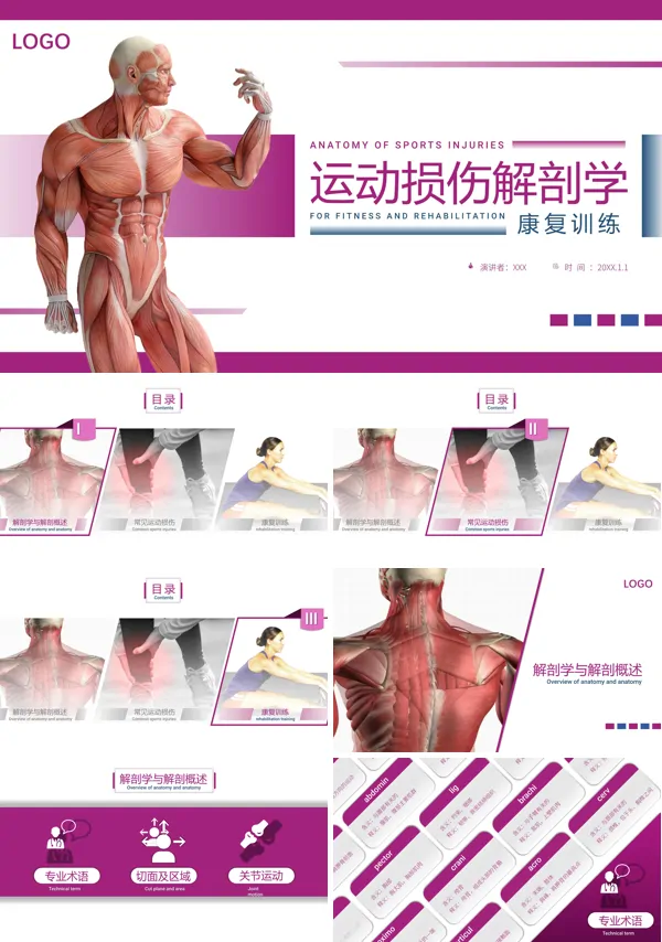 简述运动损伤康复训练主要内容PPT课件