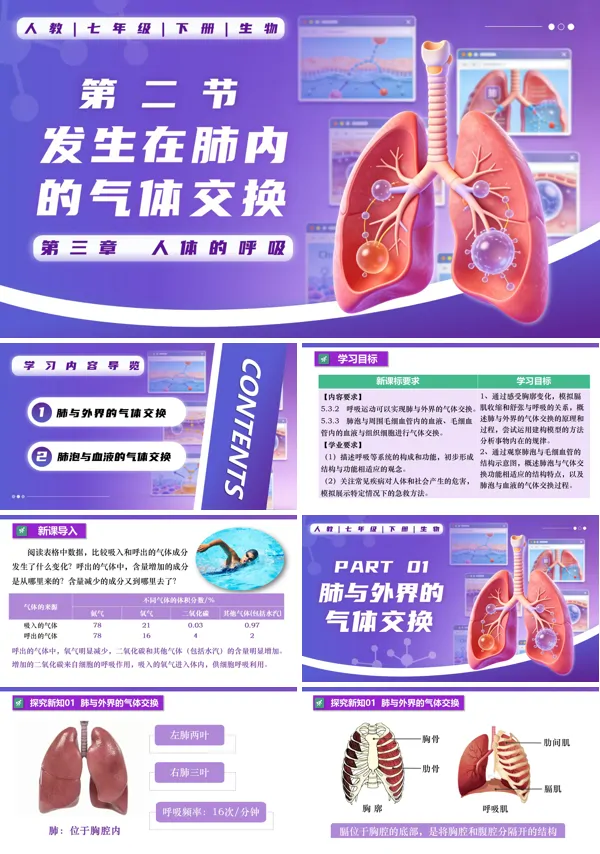 七年级生物下册第四单元4.3.2 发生在肺内的气体交换PPT课件（教案+导学案+分层作业）