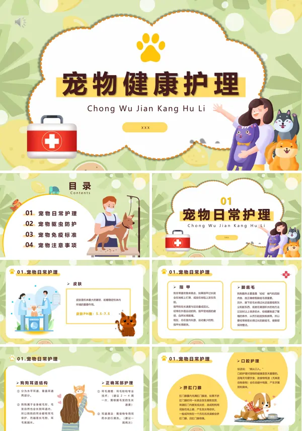 宠物护理的内容PPT