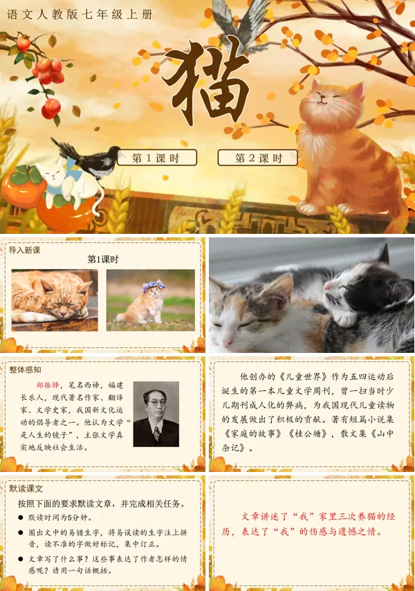 语文人教版《猫》七年级上册PPT课件含教案