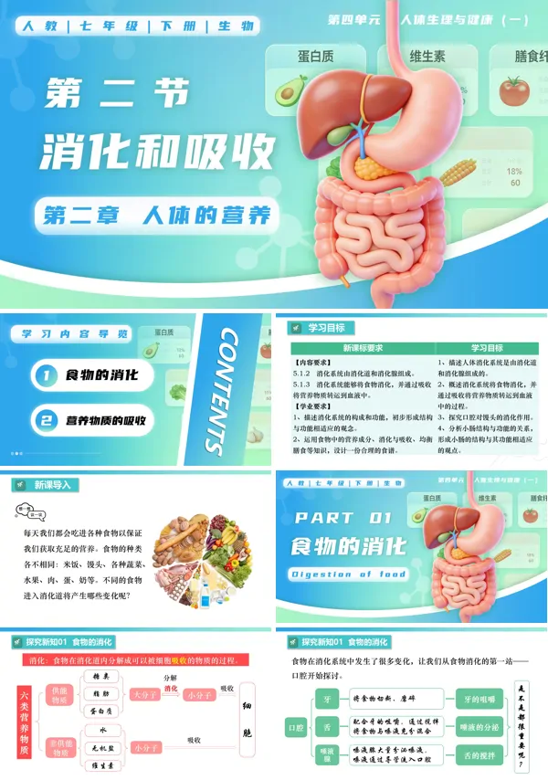 七年级生物下册第四单元4.2.2 消化和吸收PPT课件（教案+导学案+分层作业）