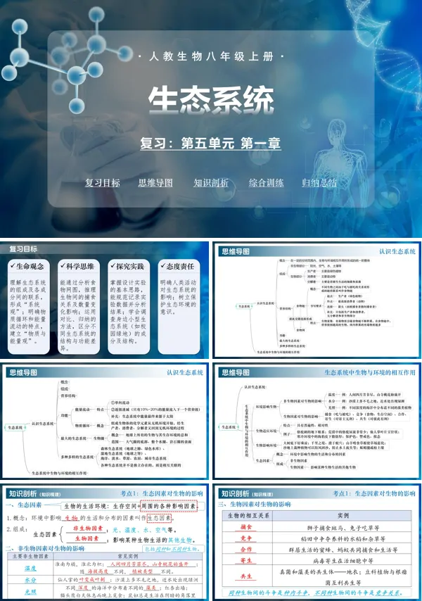 八年级生物上册同步备课系列（人教版2024）第五单元第一章 生态系统（复习课件）ppt课件含知识清单