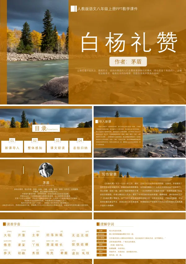 人教版初中语文下册茅盾《白杨礼赞》PPT下载教学课件